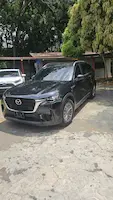 Preview imagenes del auto