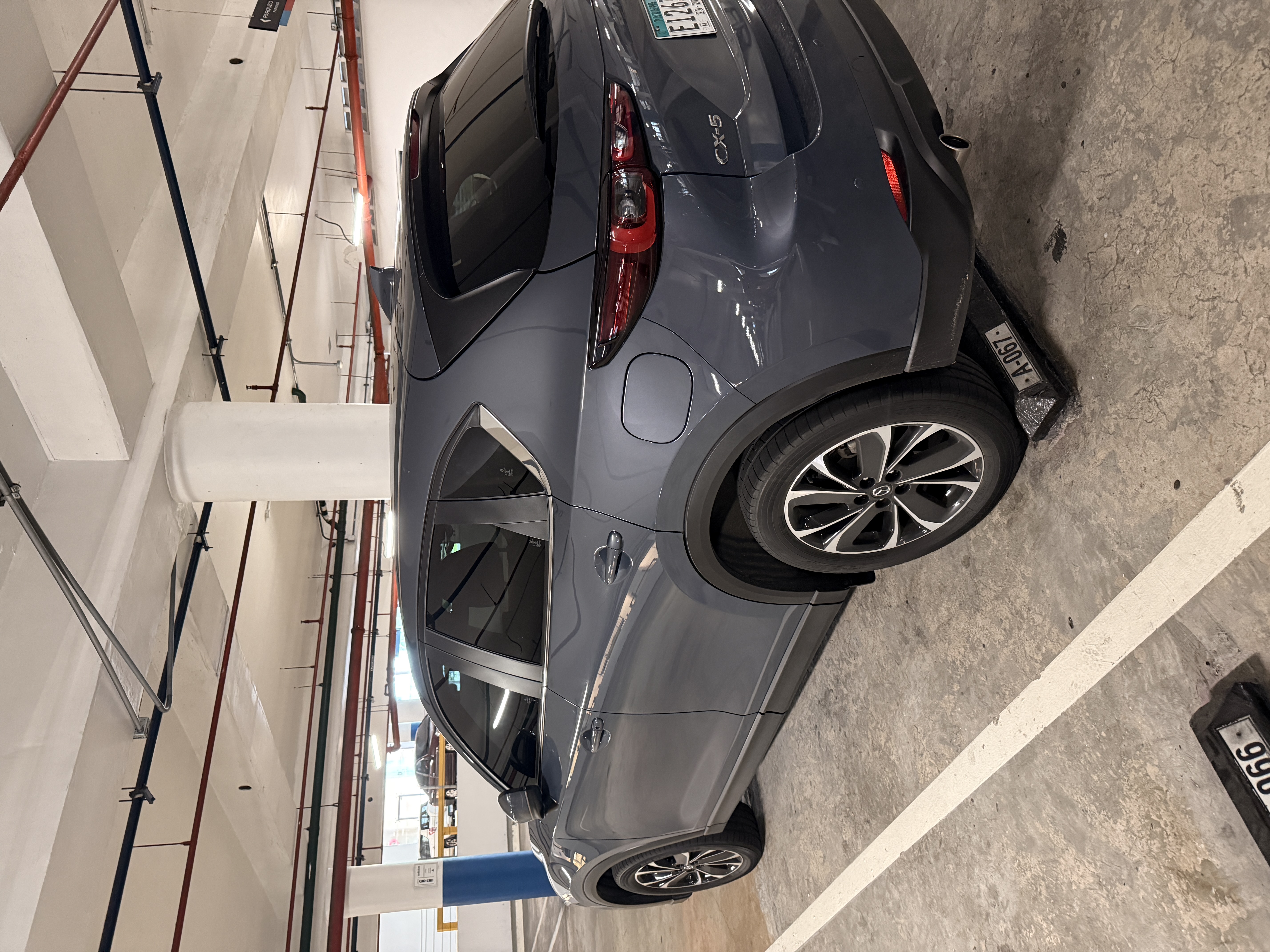 Imagenes del auto