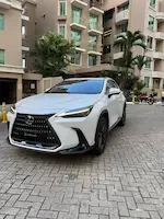 Preview imagenes del auto