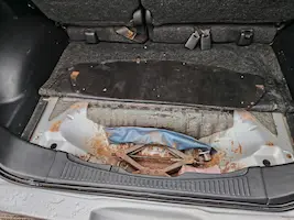Preview imagenes del auto