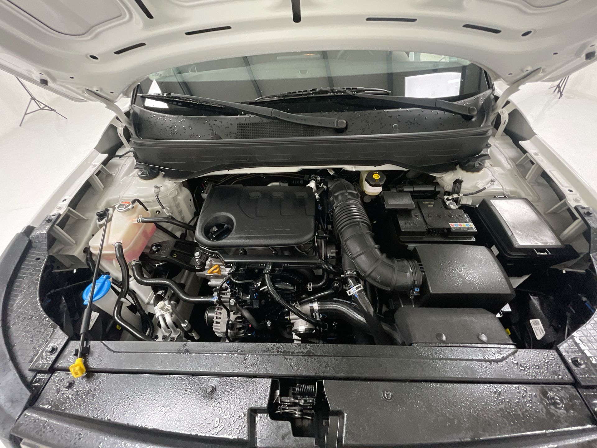 Imagenes del auto