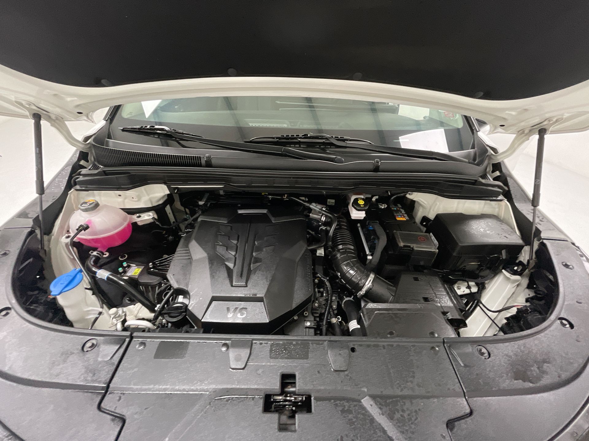 Imagenes del auto